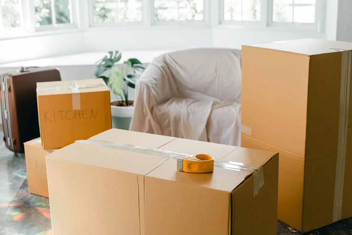 Animal Hoarding Cleanup in Edgewater, NJ
